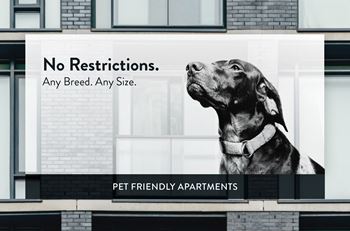 956 Place Apartments Pet Friendly